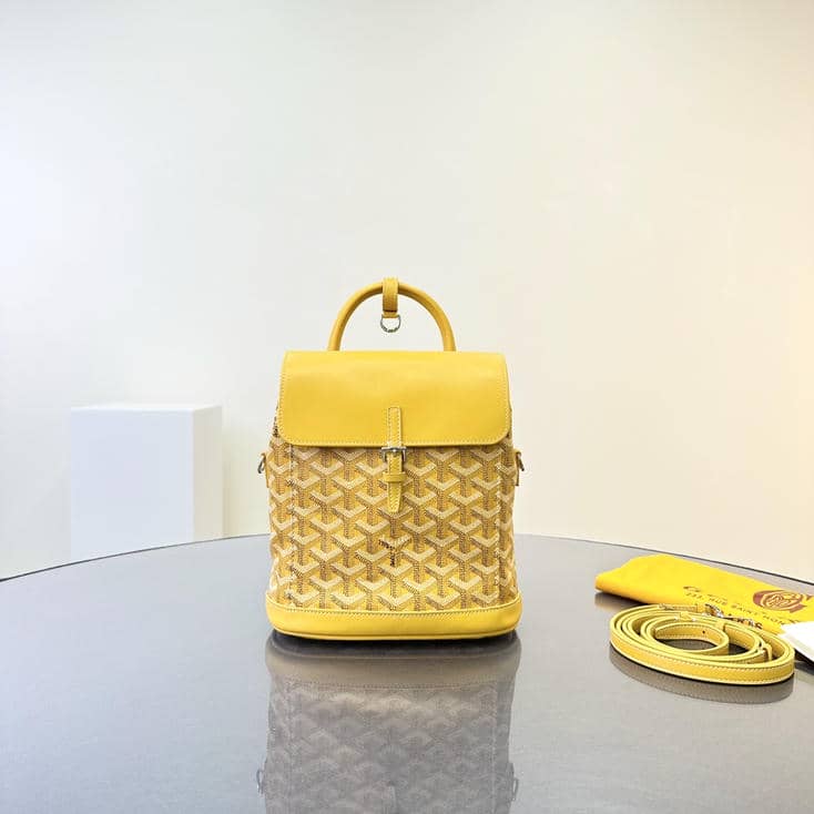 Mini Backpack6